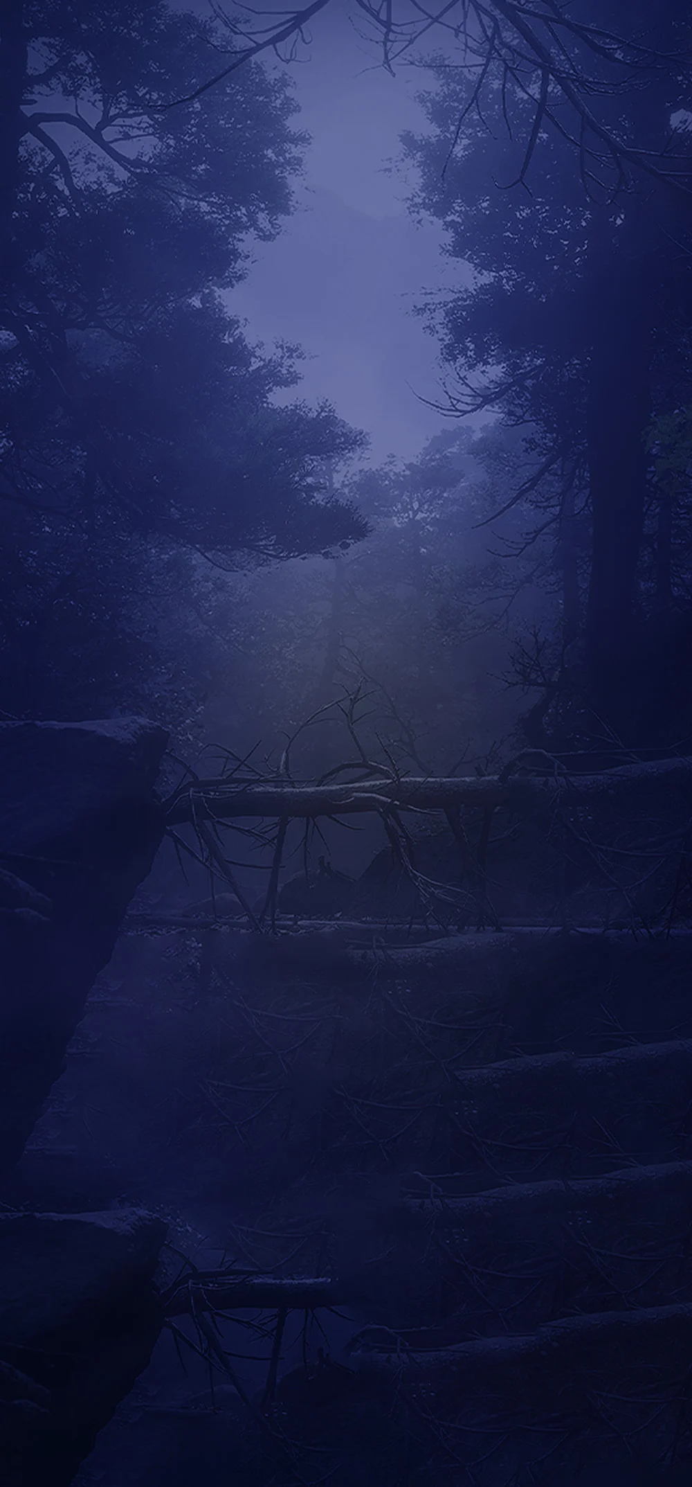 萝莉岛手机背景