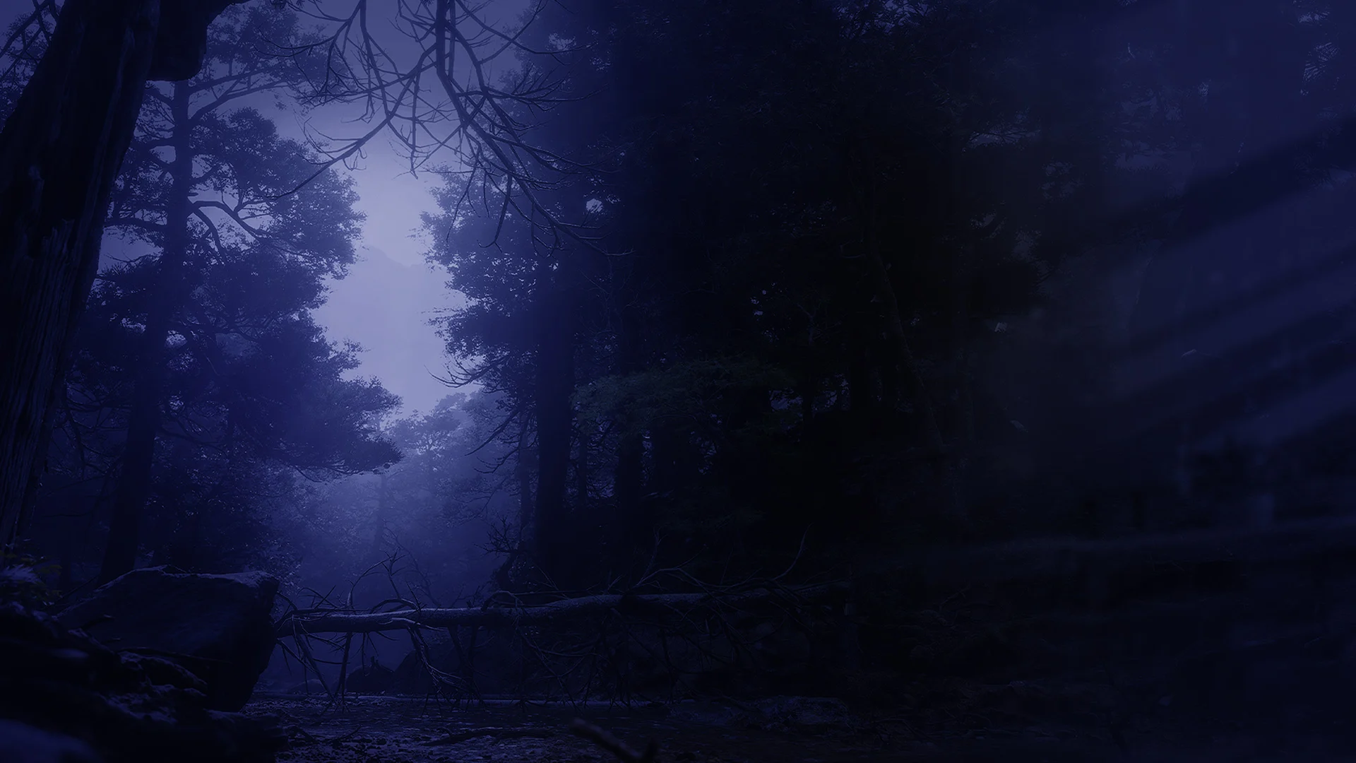 萝莉岛app下载PC背景